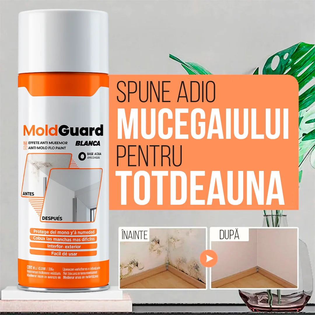 MoldGuard 400ml – Elimină mucegaiul și protejează suprafețele!