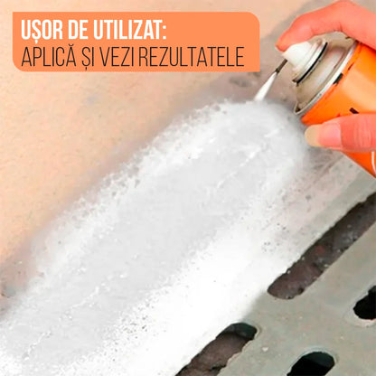 MoldGuard 400ml – Elimină mucegaiul și protejează suprafețele!